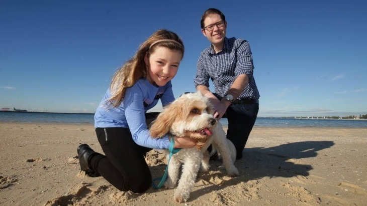 Dog-friendly beaches in Sydney