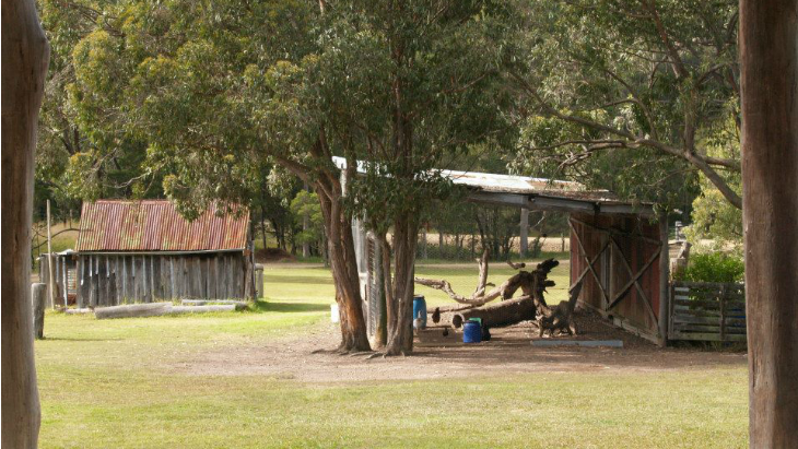 Ocean & Earth Farmstay