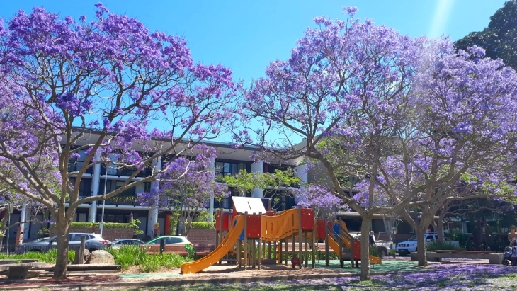 Tote playground in Zetland