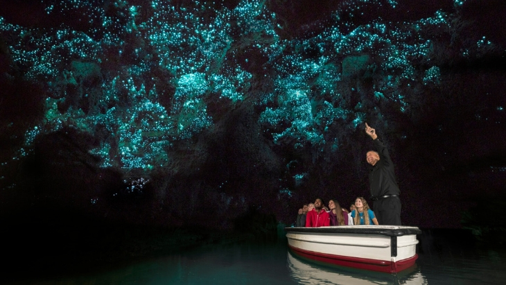 Glow worm caves New Zealand