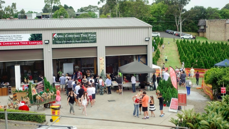 Dural Christmas Tree Farm