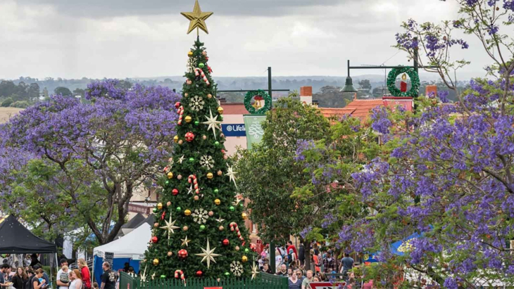 Camden Jacaranda Festival