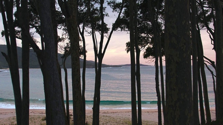 Depot Beach, Murramarang National Park campground