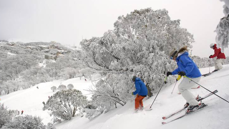 Mt Buller