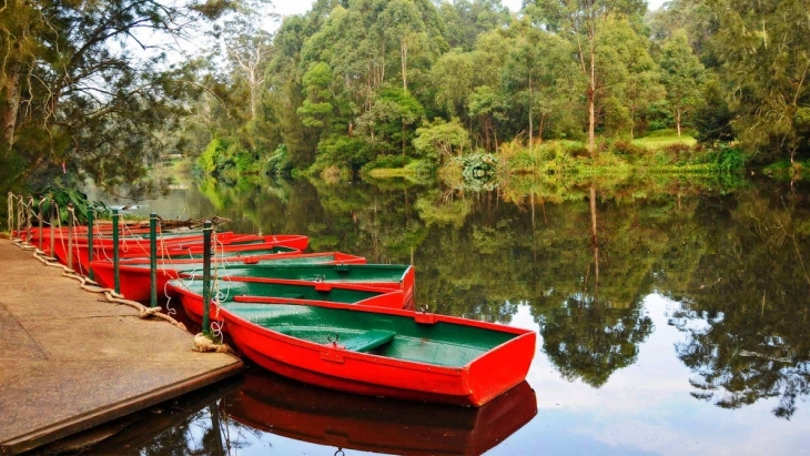 Lower North Shore Lane Cove Boatshed 