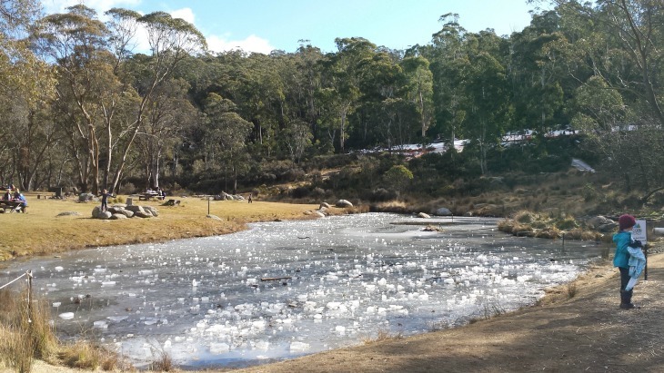 Corin Forest snow