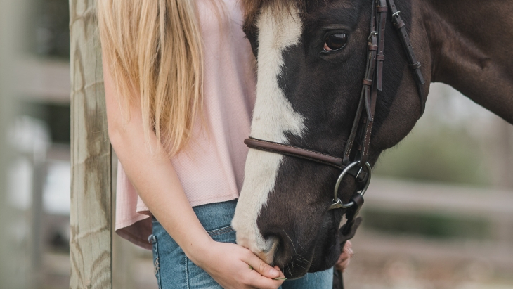 Sugarloaf Horse Centre