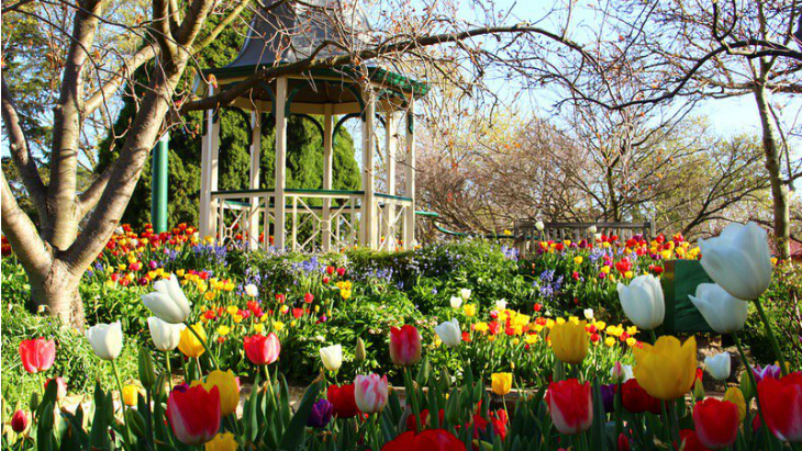 Tulip Time Festival Southern Highlands NSW