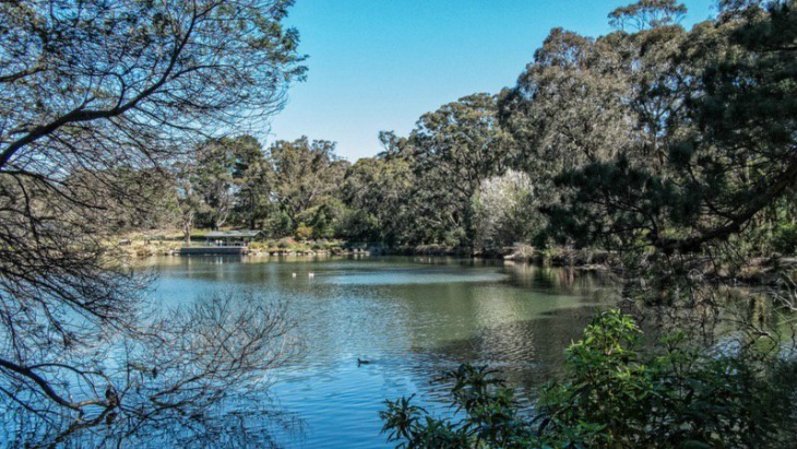 Lake Alexandra Reserve Southern Highlands