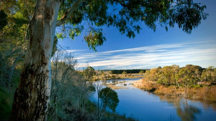 The Cecil Hoskins Nature Reserve Southern Highlands