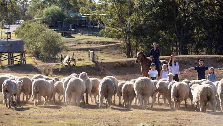 The best farm stays in NSW