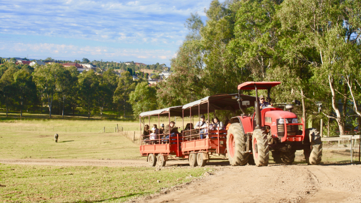 Calmsley Hill City Farm