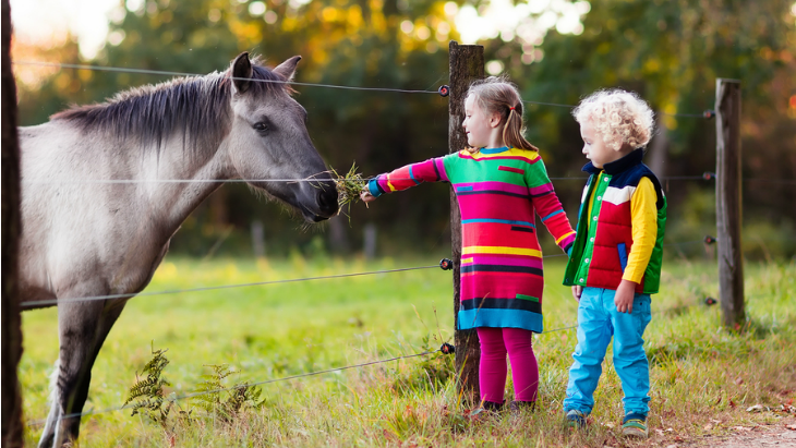 Sydney family farm stay
