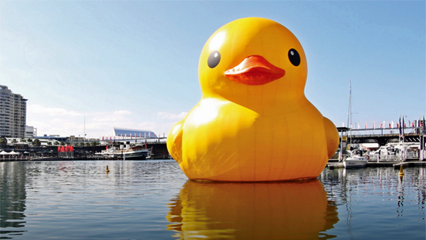 Rubber duck