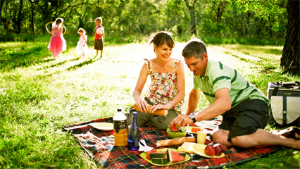 Boxing day picnics sydney