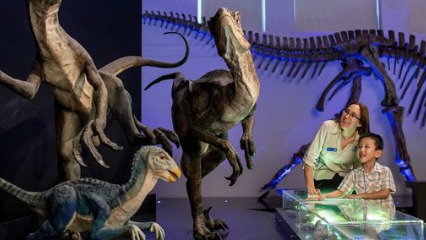 Australian museum powerhouse museum free entry dinosaurs photographer of the year sydney kids sydney cbd
