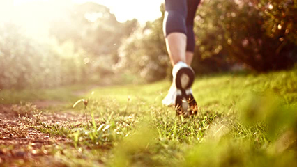 Personalised running and nutrition program sydney 426x240