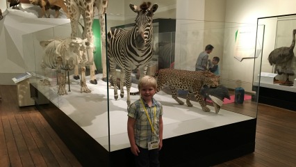 The animals we slept next to