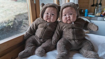 Chubby twin bears