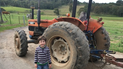 Farm hero