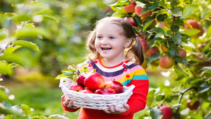 Best Places To Pick Your Own Fruit In Spring Near Melbourne | ellaslist