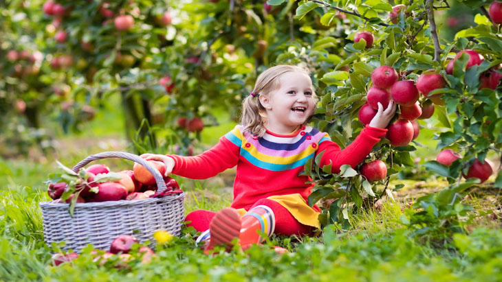 Winter_Fruit_Picking.jpg?1497884650