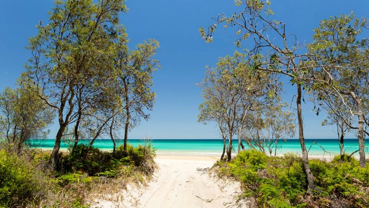 Moreton island hero