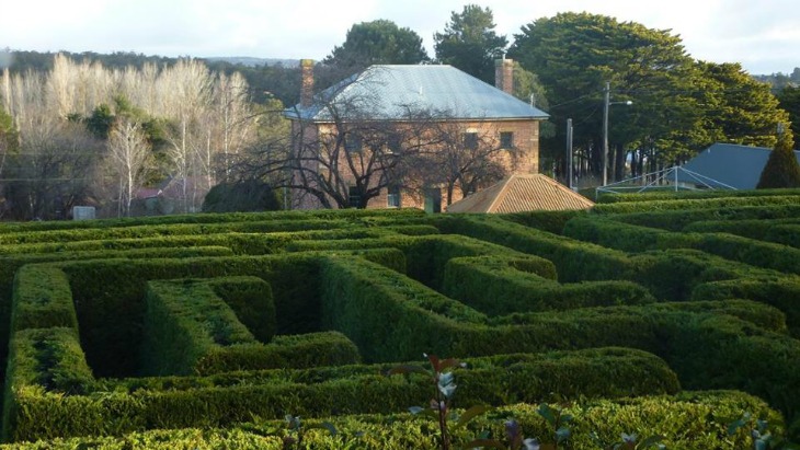 Berrima maze hero image