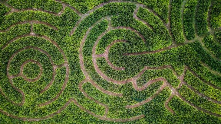 Maze near sydney