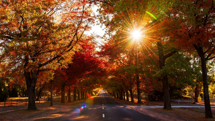 Sunday drive we're off to the macedon ranges