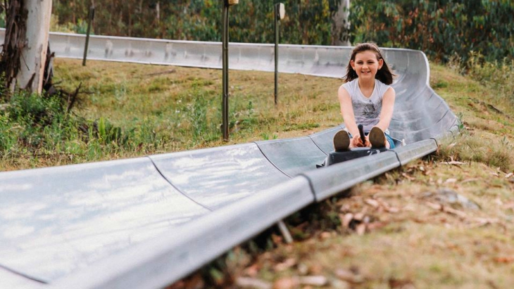 Alpine slide corin forest