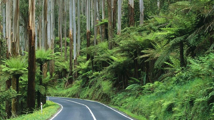 Yarra ranges national park ellaslist