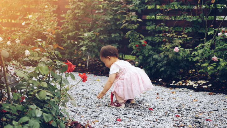 What to do in melbourne gardens with kids aged 6 months to 6 years