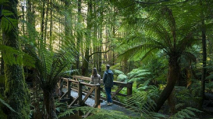 Weekend away inspiration healesville