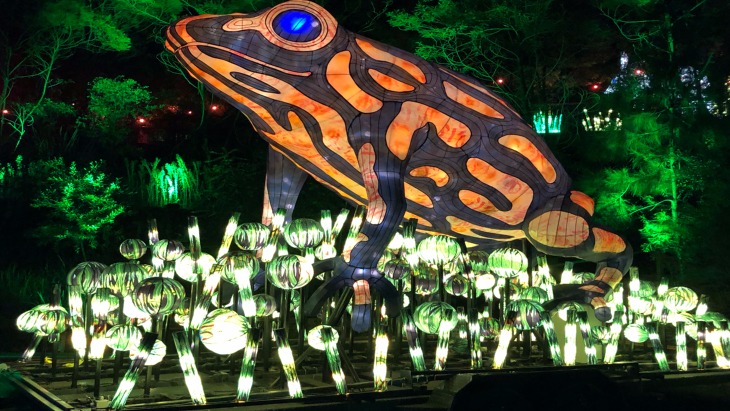 Taronga zoo vivid sydney 2018 el