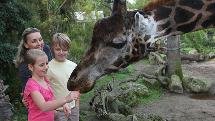 6 of the best melbourne school holiday outing ideas this winter