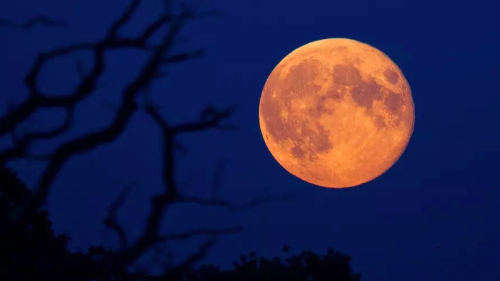 Lunar moon melbourne