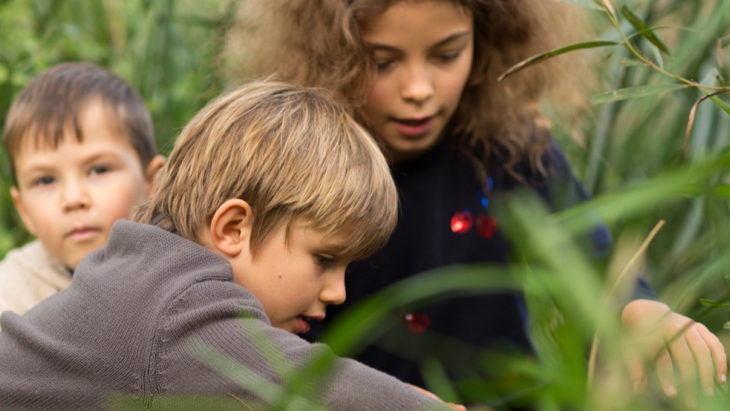 Centennialpark outdoorplay