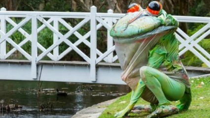 The great big story book centennial parklands kids shows sydney kids easter school holidays frog easter