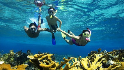 Randwicks marine coastal discovery program snorkelling clovelly gordons bay eastern suburbs sydney kids school holidays ocean awareness swim safety swimming lessons
