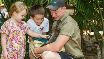 Featherdale wildlife free entry in july wallaby doonside blacktown north west sydney