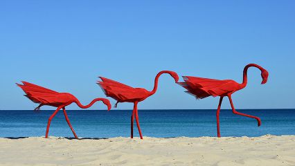 Sculpture by the sea 426x240