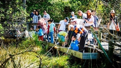 Ku ring gai wildflower and garden festival
