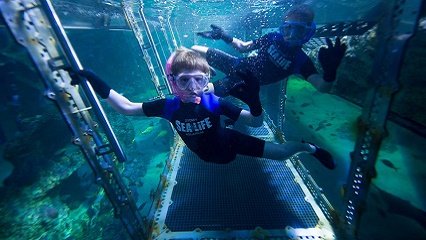The best attractions at wild life and sea life easter activities for kids 426x240