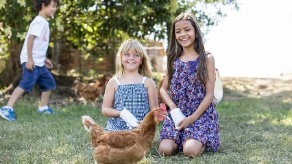 Sydney living museums rouse hill house farm western sydney kids events earn your tucker1
