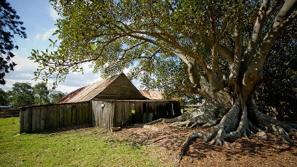 Bella vista open day