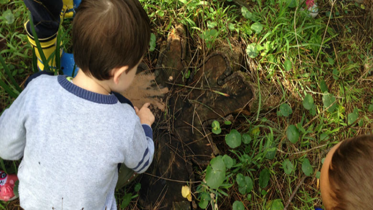 Bush school toddlers