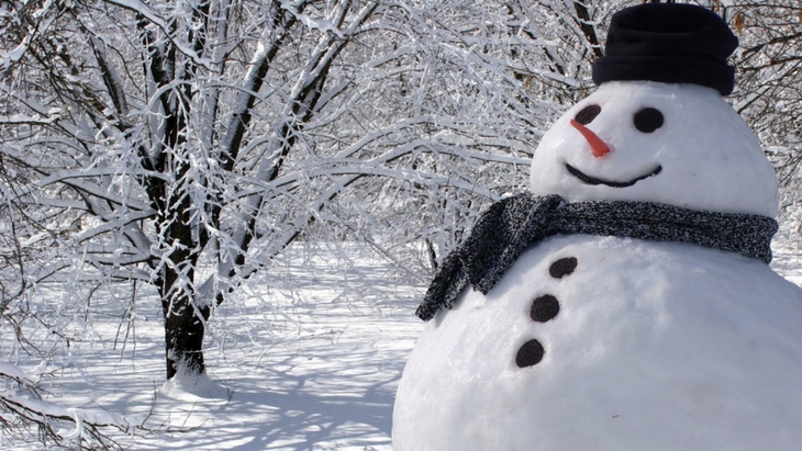 730px x 411px snowman