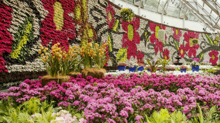 The calyx all about flowers sale