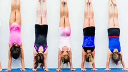 Macuni gymnastics directory 426x240